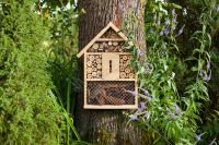 hôtel-insectes-protection-animaux-froid-écosystème
