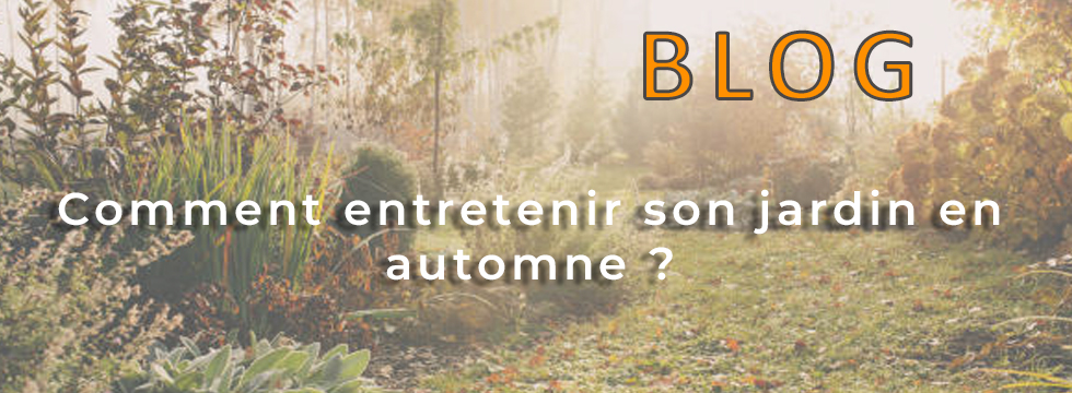 blog-entretien-jardin-automne-conseils