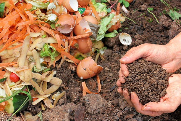 compost-recycler-biodiversité-écologie-engrais-naturel
