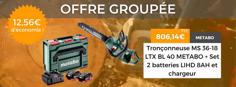 Offre groupée tronçonneuse et batteries