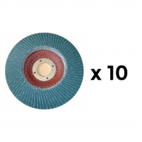 Lot de 10 disques à lamelles Ø125 Grains moyens 60 SEA