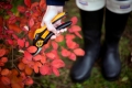 Sécateur P68 Fiskars bi-matière Smartfit™