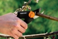 Sécateur Fiskars P92