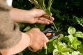 Sécateur Fiskars P26 à lame franche