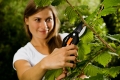 Sécateur Fiskars P26 à lame franche