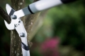 Coupe branche Fiskars Quantum M