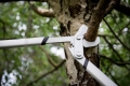 Coupe branche Fiskars Quantum L