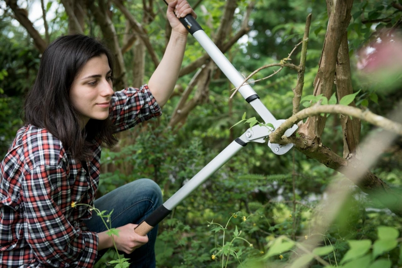 coupe branche fiskars quantum l à crémaillère et à enclume