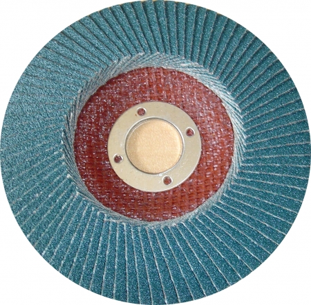 Disque &agrave; lamelles Gros grains Diam 125mm SEA