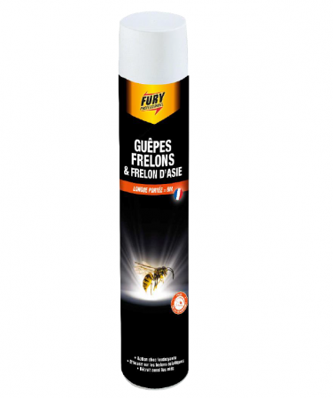 Insecticide puissant Aérosol 750 ml  FURY ORAPI