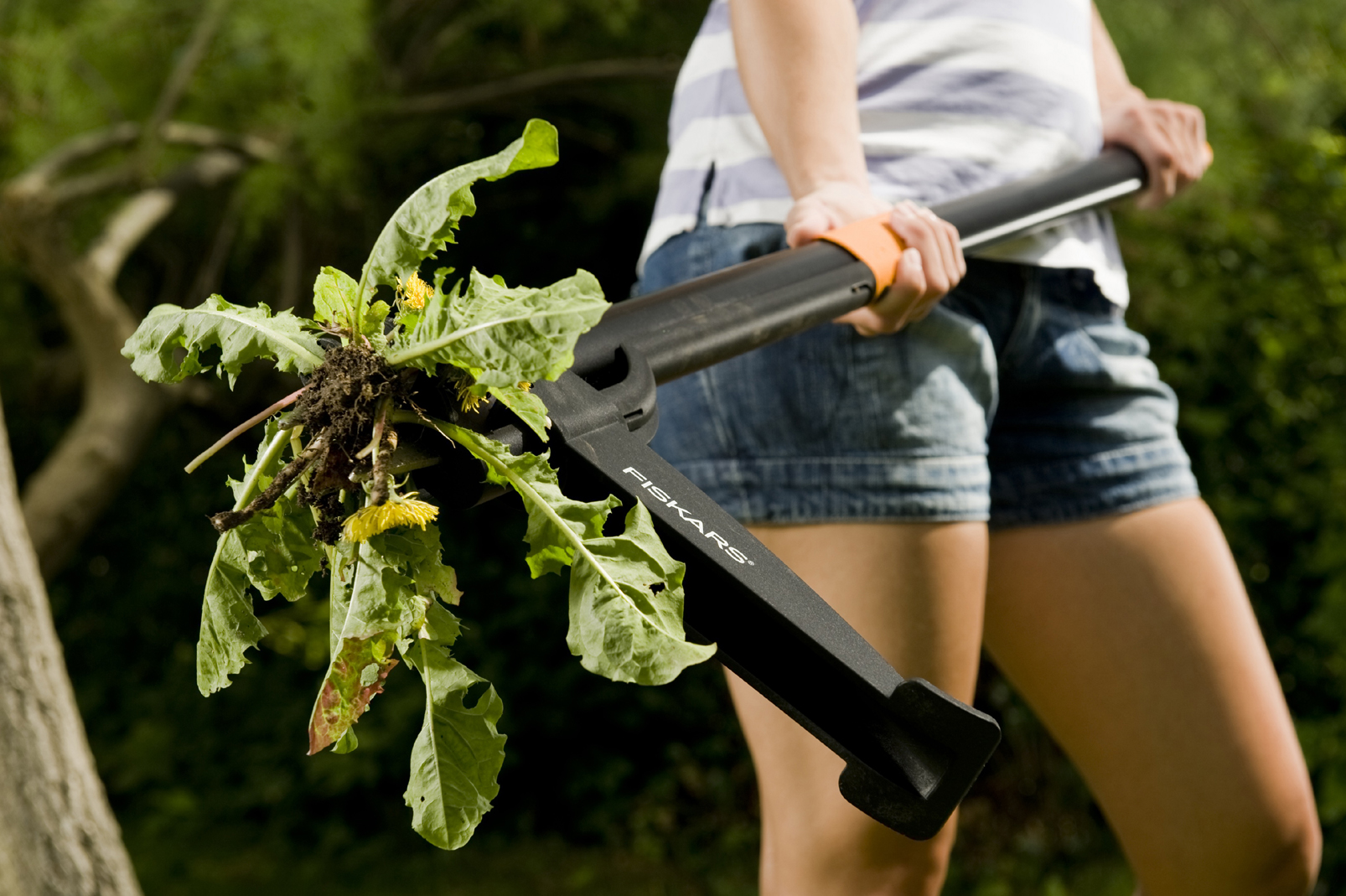 Désherbeur Manuel Ergonomique En Alliage D'aluminium - Léger, Efficace Pour Arracher Les Mauvaises Herbes Avec Racines